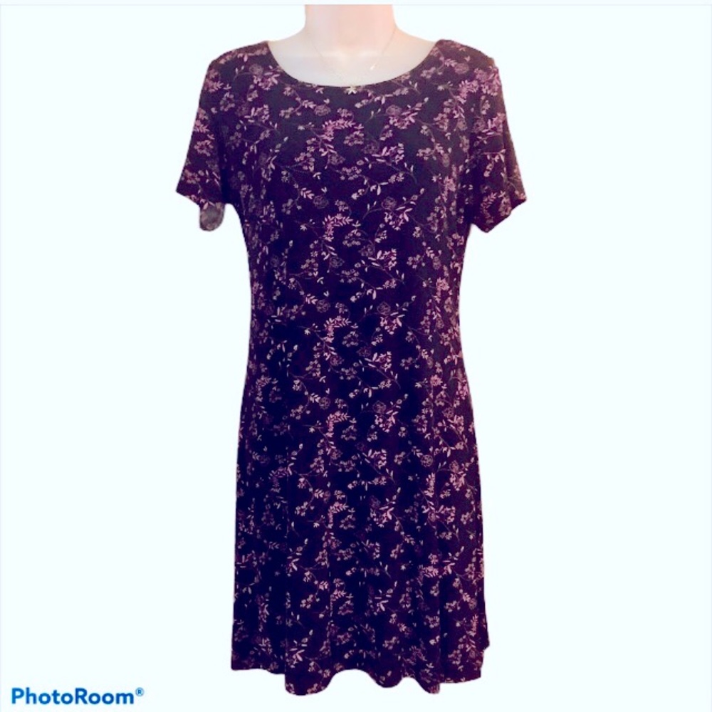 Briggs New York Skater Dress